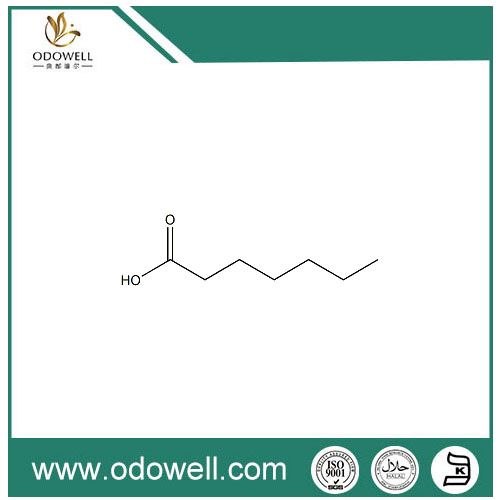 Acide heptanoïque