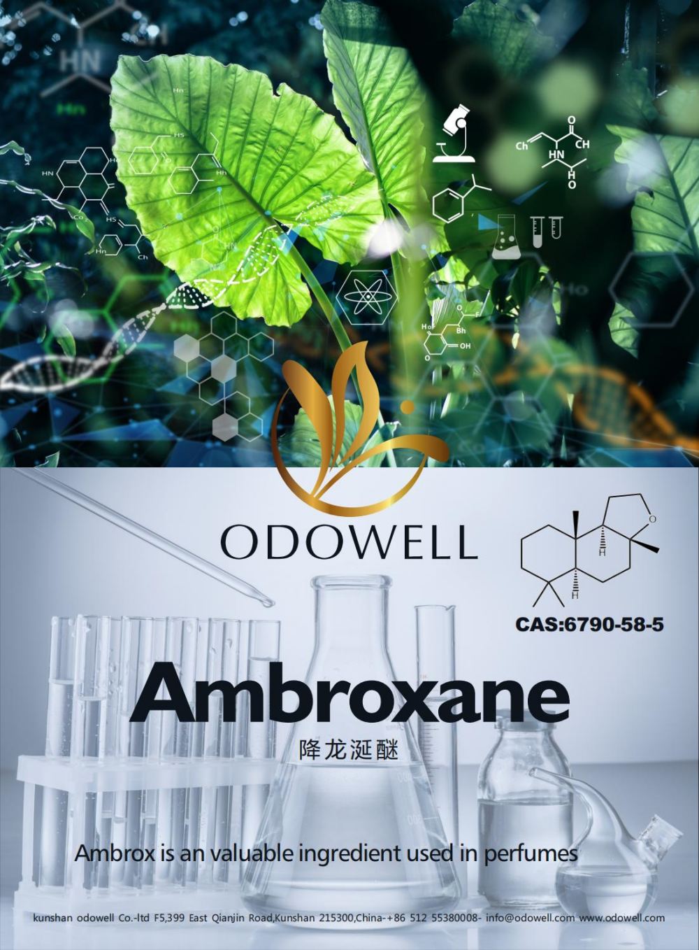 Odowell célèbre une année réussie pour Ambroxane (Ambrox)