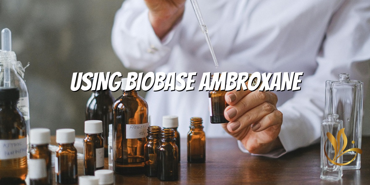 Master Ambrox - A Guide d'un parfum sur les créations intemporelles