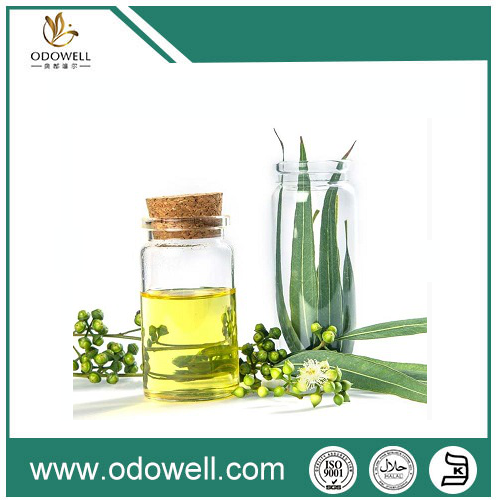 Présentation de notre huile d'eucalyptus premium (Eucalyptus globulus) - naturelle, authentique et polyvalente