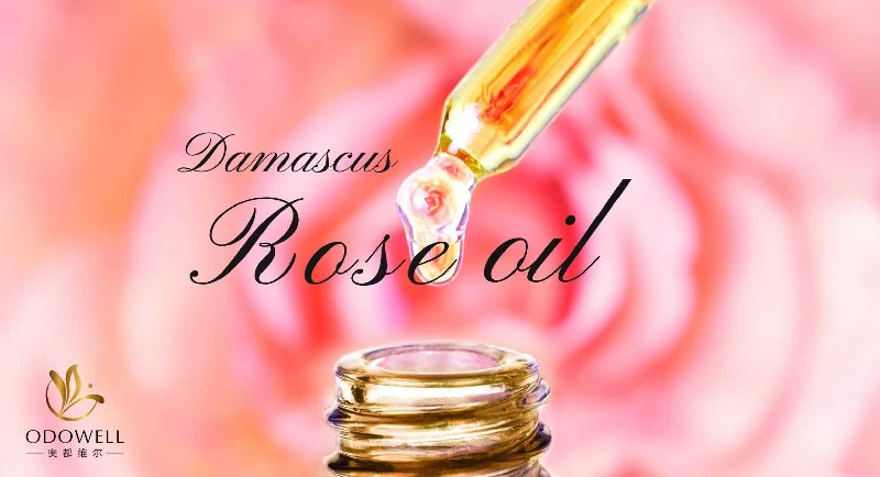 Odowell lance l'huile de rose de Damas naturelle de qualité supérieure