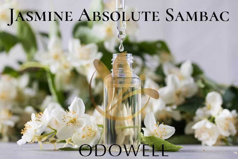 ODOWELL lance Jasmine Absolute Sambac — Un absolu de jasmin naturel haut de gamme pour le parfum et la beauté