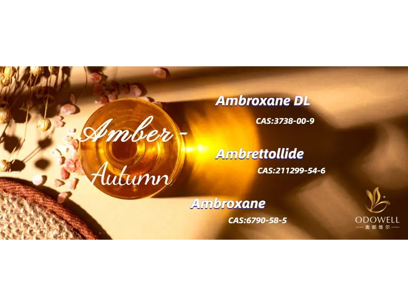 Quels sont les meilleurs parfums neutres en matière de genre pour 2025