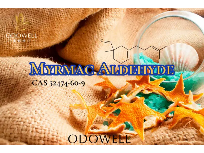 Myrmac Aldéhyde – Aldéhyde marin ozonique d'ODOWELL pour les parfums frais d'extérieur