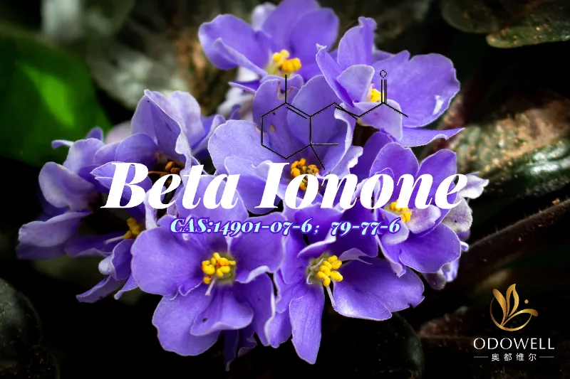Bêta Ionone – Cétone violette-boisée classique d'ODOWELL pour une profondeur de parfum fine