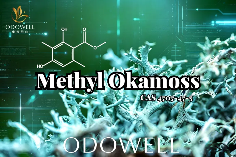 ODOWELL présente Méthyl Okamoss : une authentique mousse de chêne synthétique pour la maîtrise du chypre et du fougère