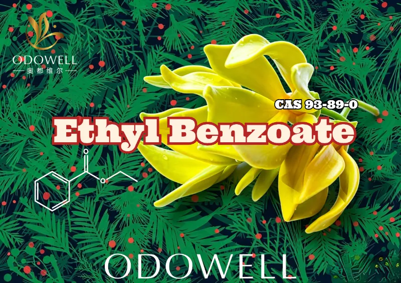 ODOWELL lance le benzoate d'éthyle : un ester chaud de gaulthérie et d'ylang pour une élégance florale et orientale