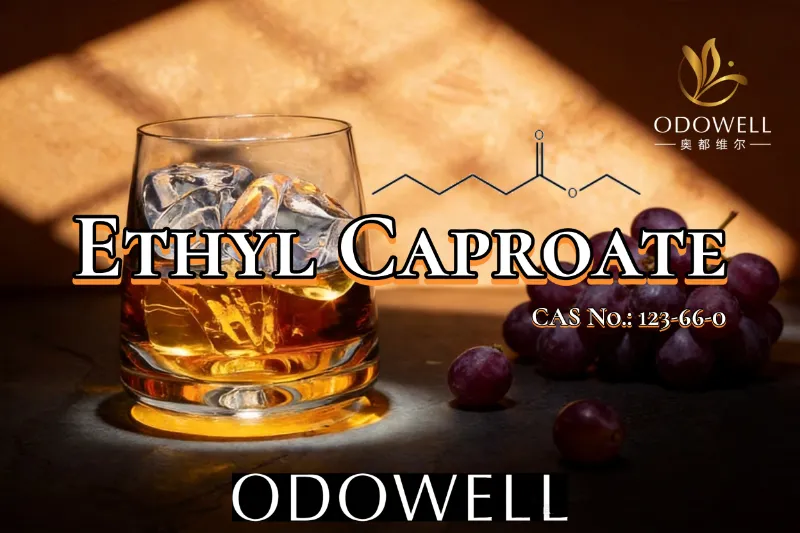ODOWELL recommande le caproate d'éthyle pour les applications d'arômes fruités et de vin