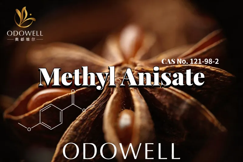 ODOWELL recommande l'anisate de méthyle pour les applications de parfums anisiques sucrés et de type vanille
