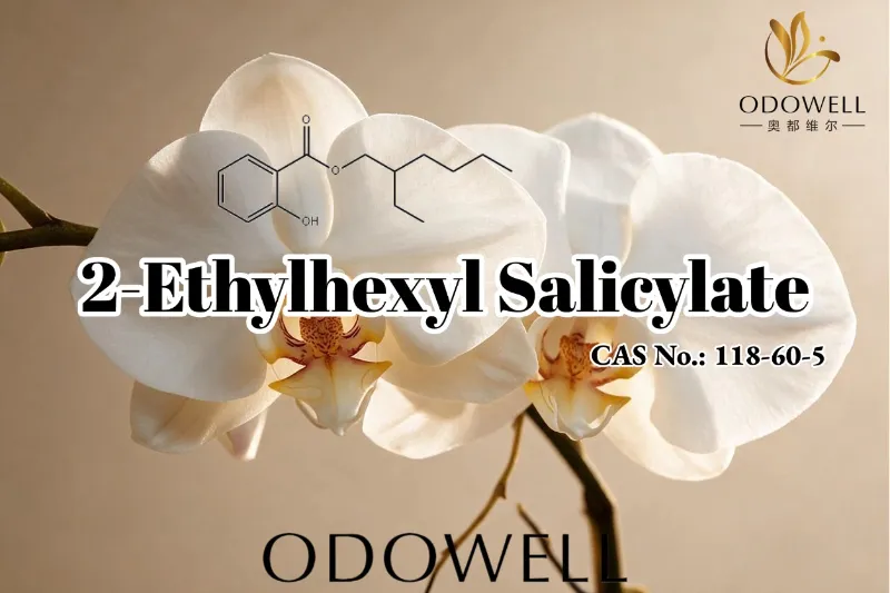 ODOWELL recommande le salicylate de 2-éthylhexyle pour les applications de parfums, de cosmétiques et de soins personnels
