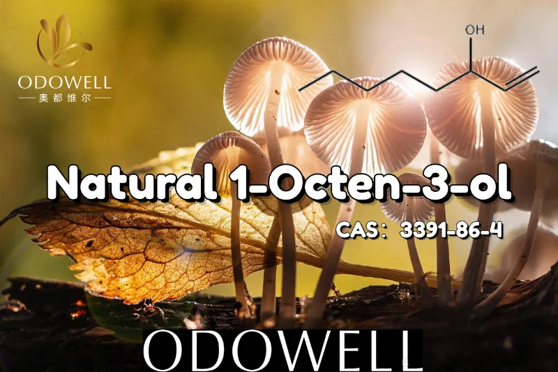 ODOWELL recommande le 1-octène-3-ol naturel pour les applications de saveur de champignon et de terre