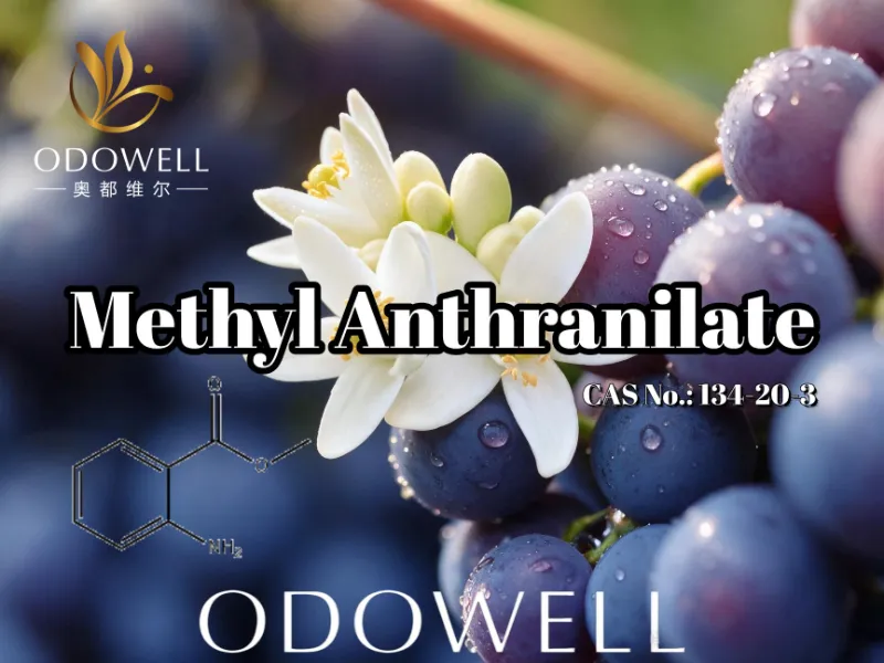 ODOWELL recommande l'anthranilate de méthyle pour les applications dans le raisin, la fleur d'oranger et le néroli