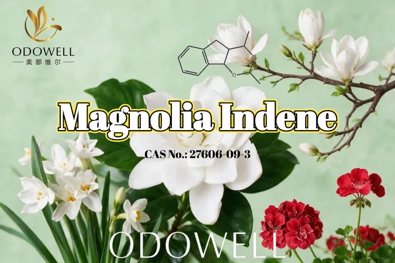 ODOWELL recommande Magnolia Indene pour les applications de parfums frais floraux-verts et d'agrumes